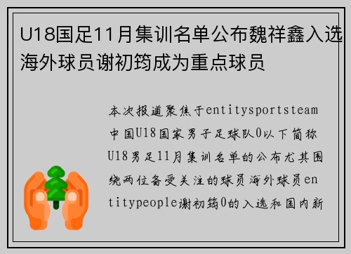 U18国足11月集训名单公布魏祥鑫入选海外球员谢初筠成为重点球员 U18国足11月集训名单公布魏祥鑫入选海外球员谢初筠成为重点球员